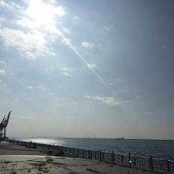 タコ・豆アジ・チャリコ