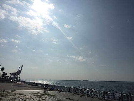 タコ・豆アジ・チャリコ