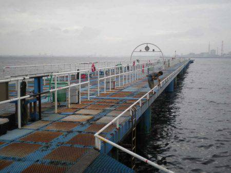オリジナルメーカー海づり公園(市原市海づり施設) 釣果
