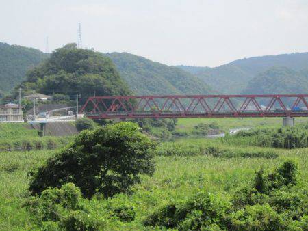 狩野川(狩野川漁業協同組合) 釣果