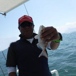 遊漁船 幸友丸 釣果