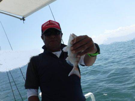 遊漁船 幸友丸 釣果