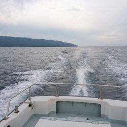 遊漁船ブルーウッズ 釣果