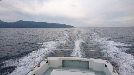 遊漁船ブルーウッズ 釣果