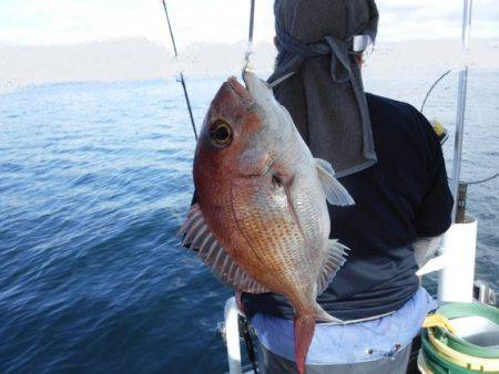 遊漁船 幸友丸 釣果
