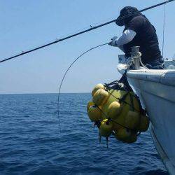 第五慶門丸 釣果