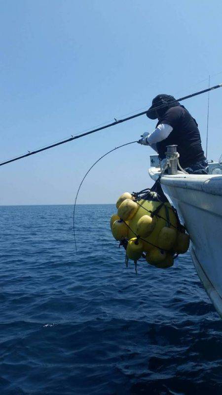 第五慶門丸 釣果