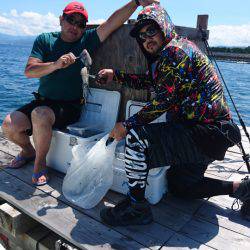 あみや渡船 釣果