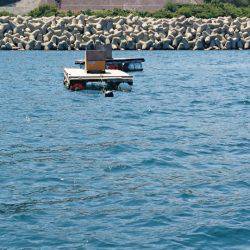 あみや渡船 釣果