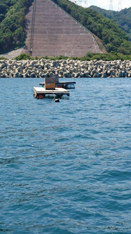 あみや渡船 釣果