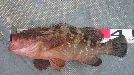 FISHING RISKY 釣果