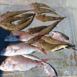 FISHING RISKY 釣果