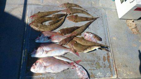 FISHING RISKY 釣果