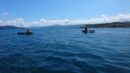 あみや渡船 釣果