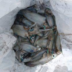 あみや渡船 釣果