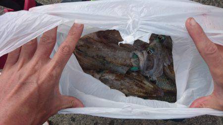 あみや渡船 釣果