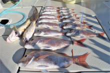 KIM Fishing Guide Ser…