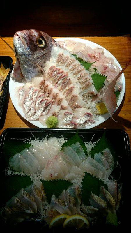 リトルワン 釣果