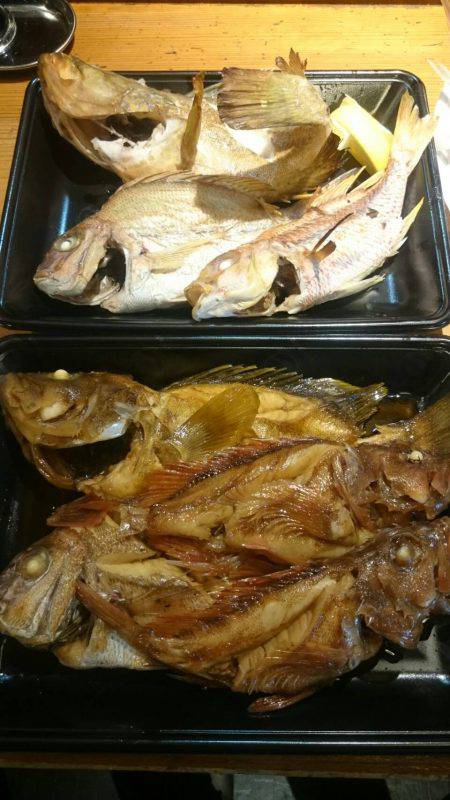 リトルワン 釣果