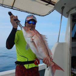 sea boss　シーボス 釣果