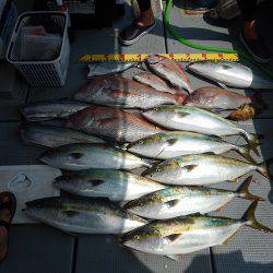 sea boss　シーボス 釣果