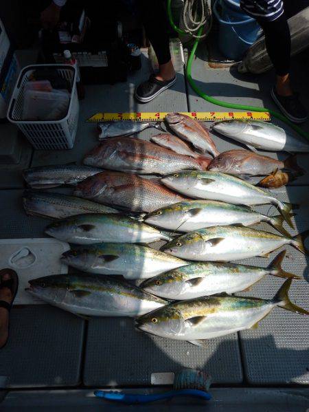 sea boss　シーボス 釣果