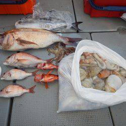 sea boss　シーボス 釣果