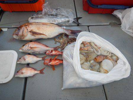 sea boss　シーボス 釣果