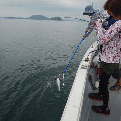 sea boss シーボス 釣果