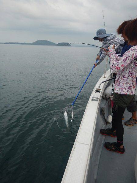 sea boss シーボス 釣果