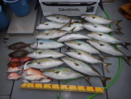 sea boss シーボス 釣果