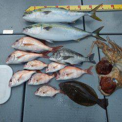 sea boss　シーボス 釣果