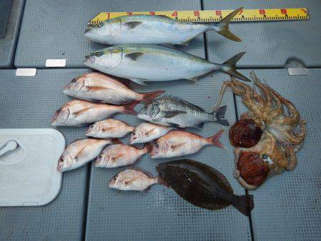 sea boss　シーボス 釣果