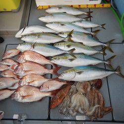 sea boss　シーボス 釣果