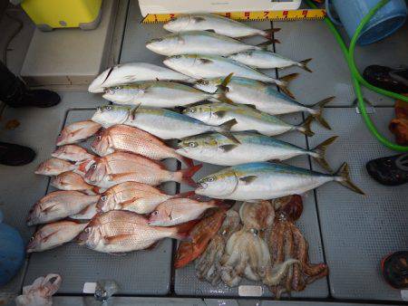 sea boss　シーボス 釣果