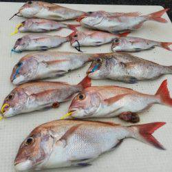 オーフリー 釣果