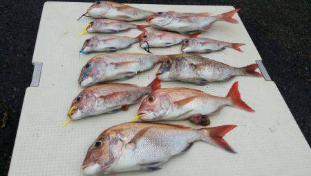 オーフリー 釣果