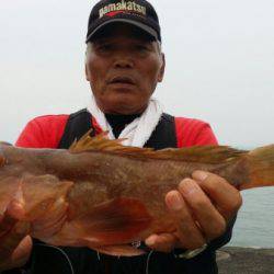 オーフリー 釣果