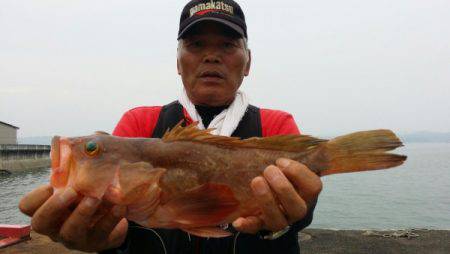 オーフリー 釣果