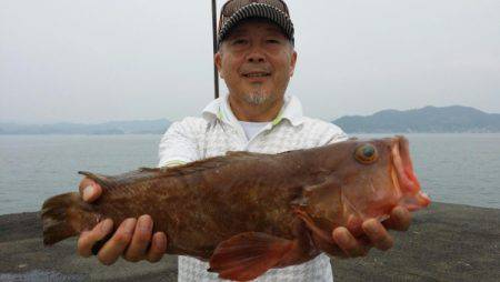 オーフリー 釣果