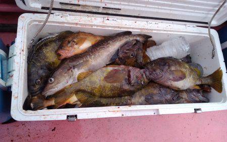 第八平成丸 釣果