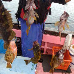 第八平成丸 釣果