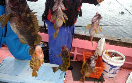 第八平成丸 釣果