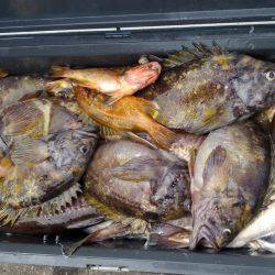 第八平成丸 釣果