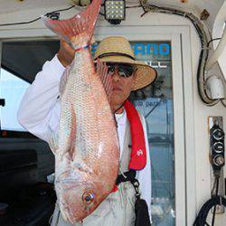 松本釣船2 釣果