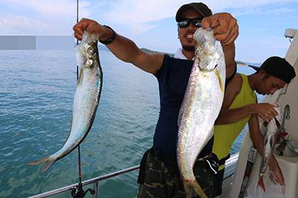 松本釣船2 釣果