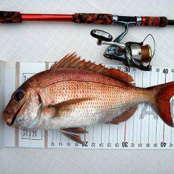 フルコンタクト 釣果