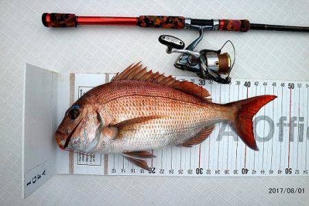 フルコンタクト 釣果