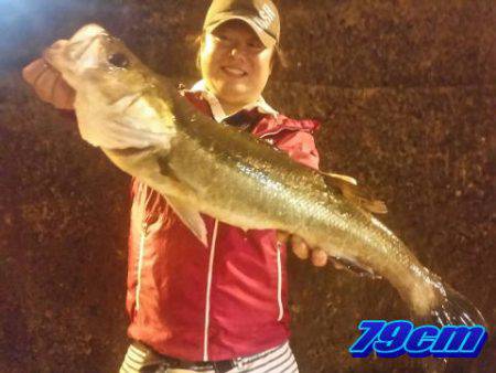 オーシャンマスター 釣果