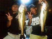 オーシャンマスター 釣果